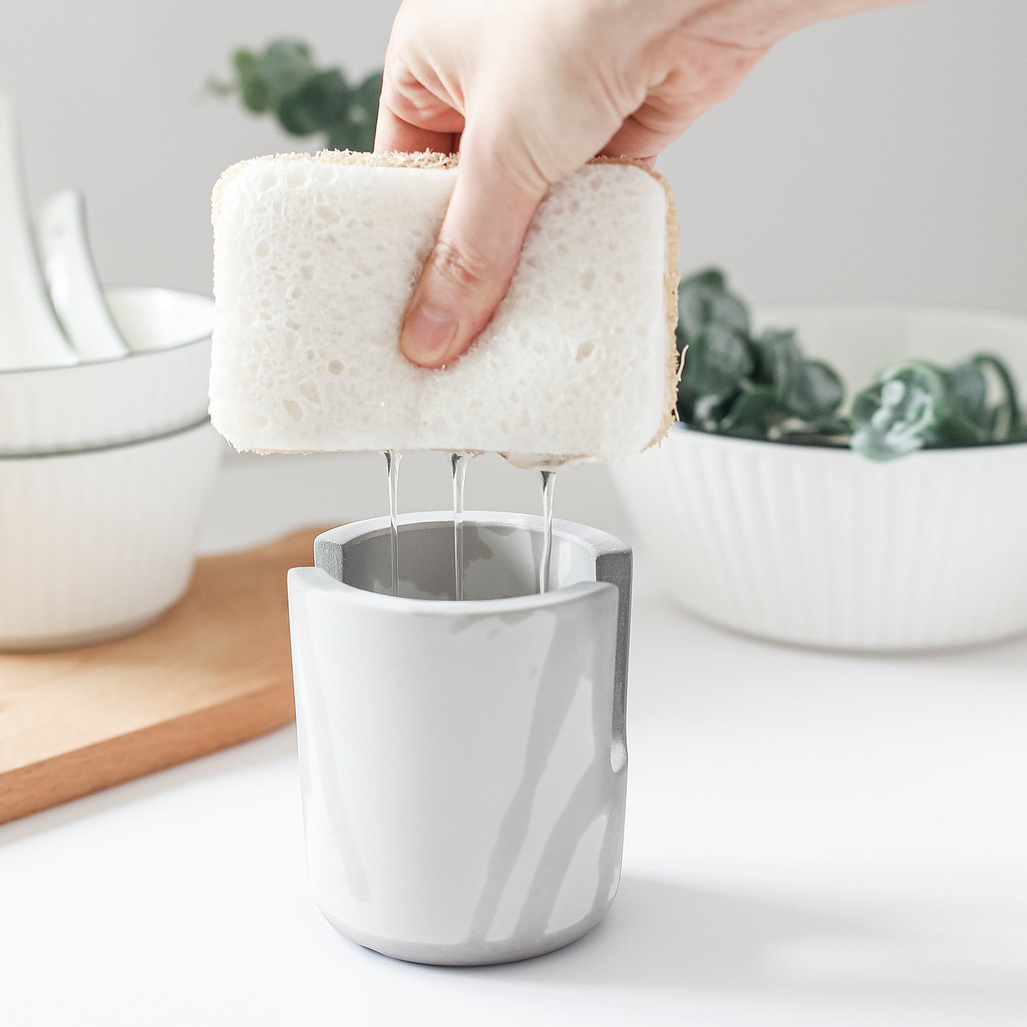 Dia Sponge Holder